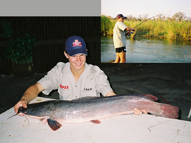 Clarias gariepinus