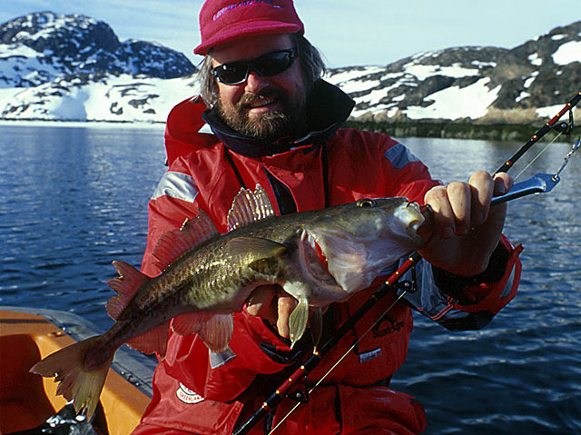 Gadus macrocephalus