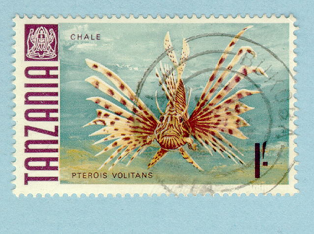 Pterois volitans