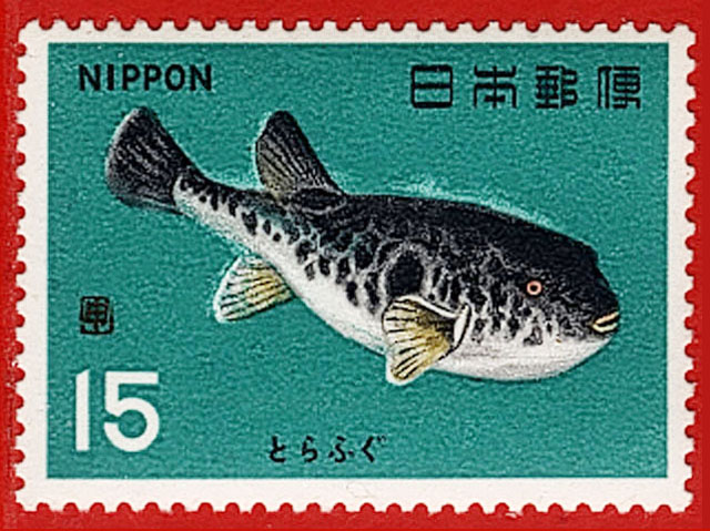 Takifugu rubripes