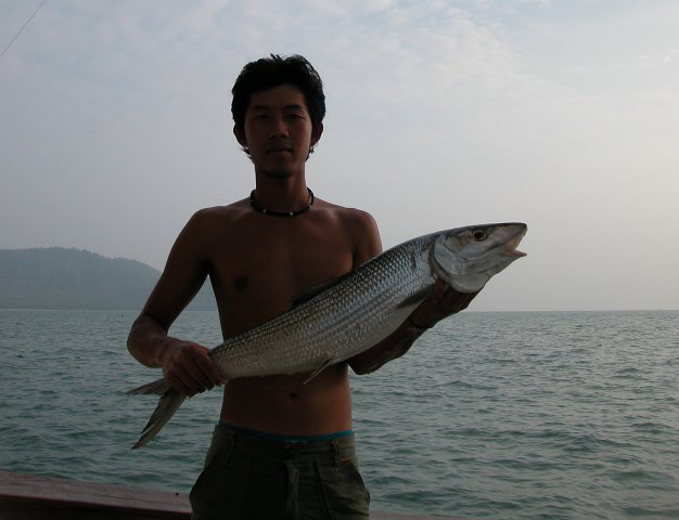 ../tools/UploadPhoto/uploads/similan-bonefish2.jpg